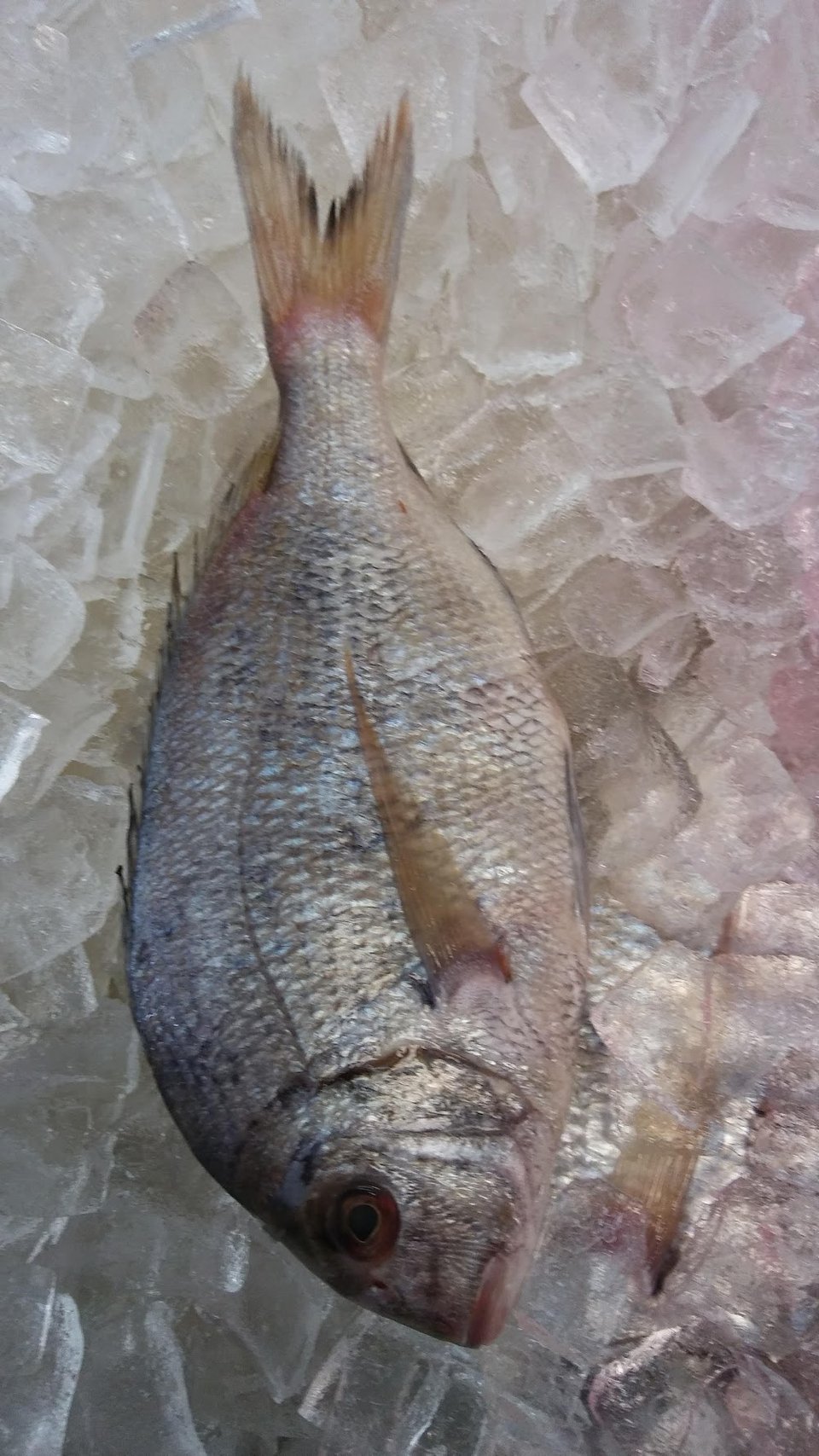 Printed menu beside fried fish selections.
